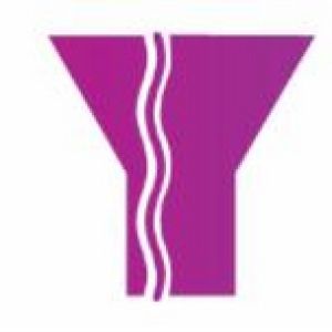 UNITE - The Joyce's Ballet Festival to Return in August