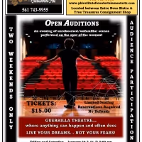 The Palm Beach Institute for the Entertainment Arts Presents OPEN AUDITIONS
