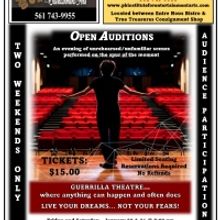 The Palm Beach Institute for the Entertainment Arts Presents OPEN AUDITIONS