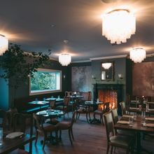Review: ALLENDALE SOCIAL-Absolutely Superb
