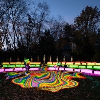 GROUNDS FOR SCULPTURE Presents a Spectacular Exhibition “Night Forms: Infinite Waves”