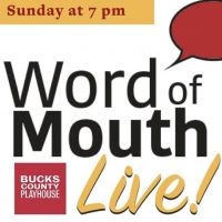 VIDEO: Julie Halston, Faye Lane and Ellen Gallos Join Bucks County Playhouse's WORD…