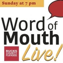 VIDEO: Julie Halston, Faye Lane and Ellen Gallos Join Bucks County Playhouse's WORD O