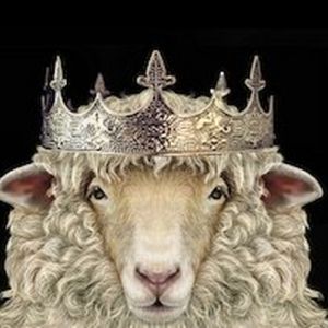 OrpheusPDX Opens Its Second Season With Mozart's Comic Gem, THE ROYAL SHEPHERD (Il…