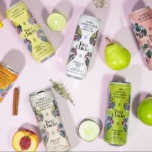 TWO CHICKS COCKTAILS for RTD Canned Cocktails with Premium Spirits