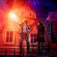 250 Limited Edition BEETLEJUICE Window Cards to Benefit Entertainment Community Fund