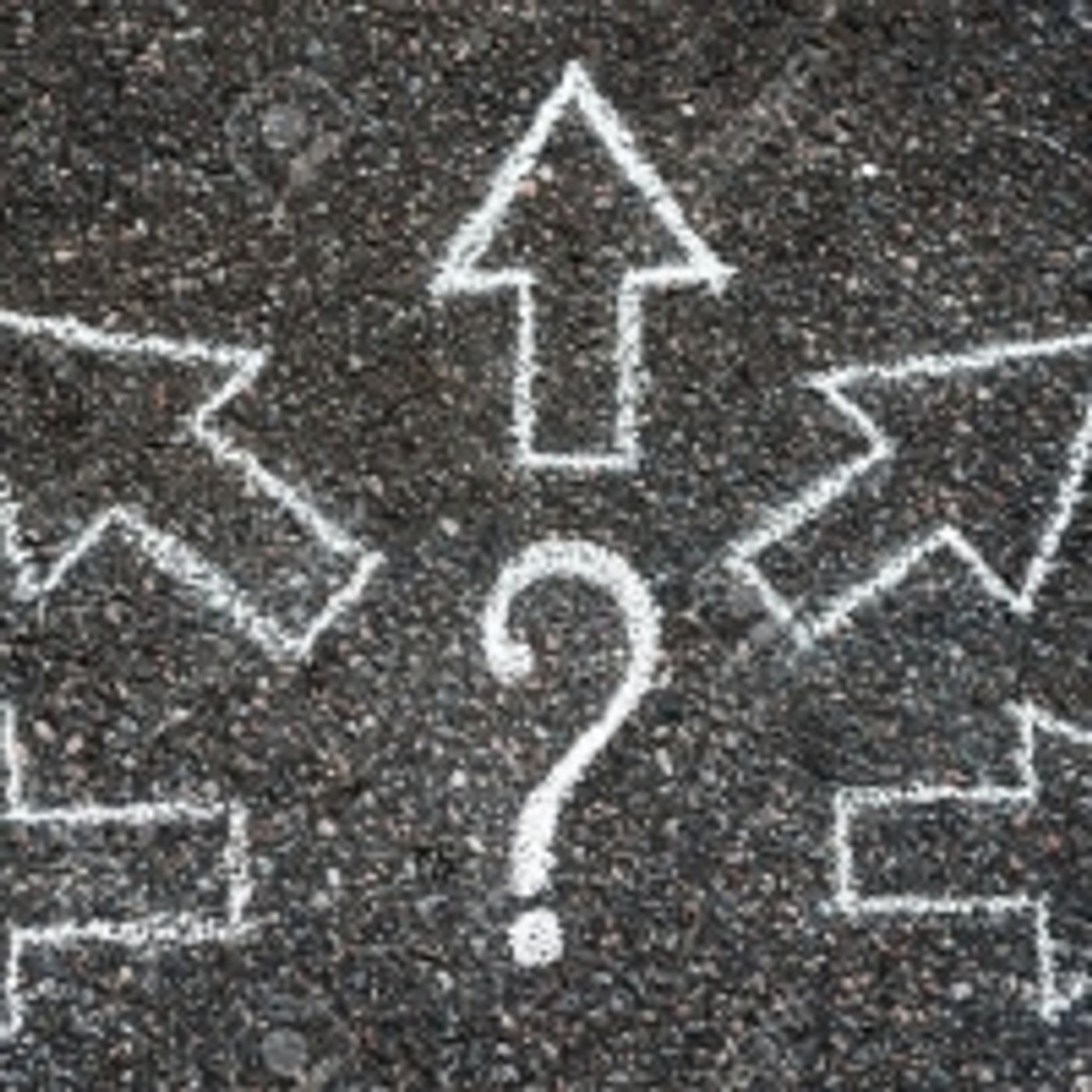 Student Blog: Tips To Select A Show