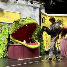 LITTLE SHOP OF HORRORS To Open At Gateway In Somers Point