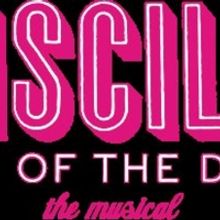 Mercury Theater Chicago Announces Cast Of PRISCILLA QUEEN OF THE DESERT