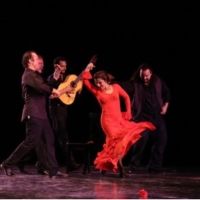 Omayra Amaya Premiere's VELADA FLAMENCA at The Dance Complex in February
