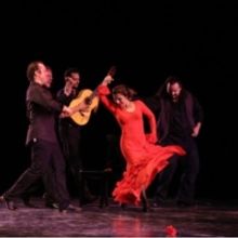 Omayra Amaya Premiere's VELADA FLAMENCA at The Dance Complex in February