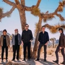 Drive-by Truckers Share New Song 'The Driver'