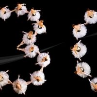 Sarasota Ballet Announces 30th Anniversary Season