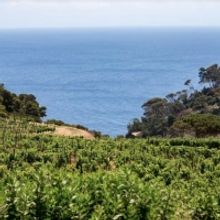 FRESCOBALDI-Caring and Inspiring Change While Producing Top Tuscan Wines