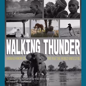 LA FEMME International FF to Dedicate Special Screening To The Late Jane Goodall