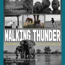 LA FEMME International FF to Dedicate Special Screening To The Late Jane Goodall