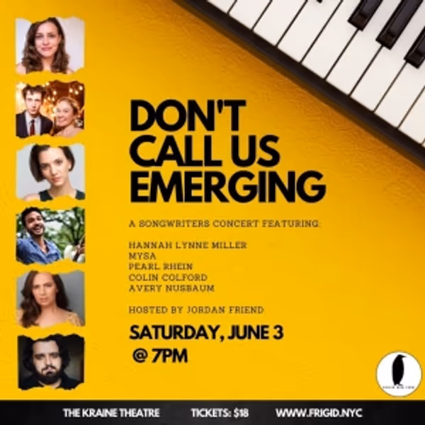 DON'T CALL US EMERGING: A SONGWRITERS CONCERT to Take Place at The Kraine Theatre Photo