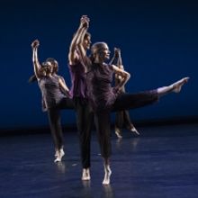 The Society Of Fellows Of The American Academy In Rome Presents SALONE!