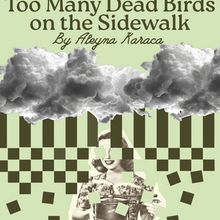 TOO MANY DEAD BIRDS ON THE SIDEWALK to Make Off-Broadway Debut at SheNYC Festival