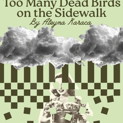 TOO MANY DEAD BIRDS ON THE SIDEWALK to Make Off-Broadway Debut at SheNYC Festival