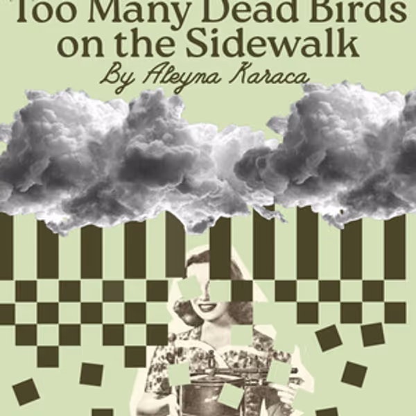 TOO MANY DEAD BIRDS ON THE SIDEWALK to Make Off-Broadway Debut at SheNYC Festival Photo