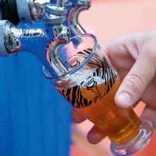 PHILADELPHIA ZOO Announces the Return of Summer Ale Fest on 7/16