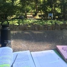 Student Blog: Finals Season!