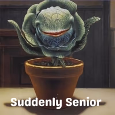 Student Blog: Suddenly Senior