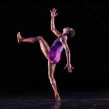 Lake Tahoe Dance Collective Ninth Annual Lake Tahoe Dance Festival