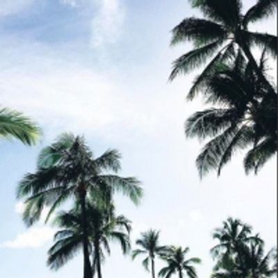 Student Blog: Summer Showtunes Playlist
