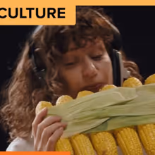 Chipotle Records Song at Abbey Road Studios Using Corn and Jalapeño Instruments
