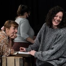 New Hampshire Theatre Project to Present WOMEN PLAYING HAMLET