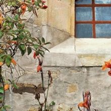 Tafelmusik Returns to its Baroque Roots