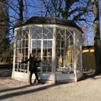 BWW Blog: The Hills Are Alive - My Journey Through Salzburg