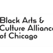 2025 Black Excellence Awards Nominees Revealed
