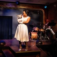 Review: LADY DAY AT EMERSON'S BAR AND GRILL at Mercury Theater Chicago