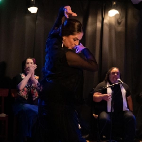EL RINCÓN SERIES FALL 2025 Comes to Theatre Flamenco SF Photo