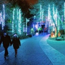 PHILADELPHIA ZOO Lights Up the Holidays with More that a Million Shimmering Lights
