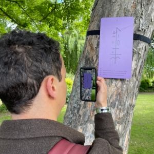 The City's Trees Will be Alive With The Sound of Music this August Bank Holiday