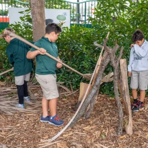 WILD RESCUE to Open at AutoNation IMAX Theater at the Museum of Discovery and Science