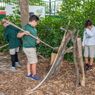 WILD RESCUE to Open at AutoNation IMAX Theater at the Museum of Discovery and Science