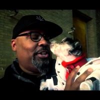 VIDEO: Watch Tinkerbelle the Dog's Cover of Lea Michele's Christmas In New York with… Video