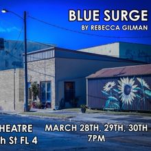 A Staged Reading Of Rebecca Gilman's BLUE SURGE is Coming to Chain Theatre