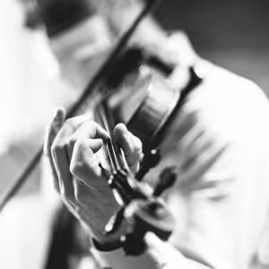 Feature: String Quartet FIDDLE & FERN ENSEMBLE to Perform Medley of Music