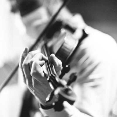 Feature: String Quartet FIDDLE & FERN ENSEMBLE to Perform Medley of Music