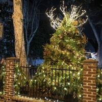 Historic Holidays Return to Old City with Old City Shopping Stroll and Old City…