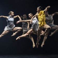 BWW Review: SYDNEY DANCE COMPANY: BONACHELA/NANKIVELL/LANE: 50TH ANNIVERSARY TRIPLE B
