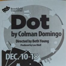 BWW Review: A Lesson Learned with DOT at Brookfield Theatre