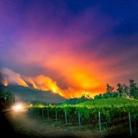 Napa Valley Museum Announces New Virtual Exhibit REAL/TIME: ART OF THE MOMENT –…