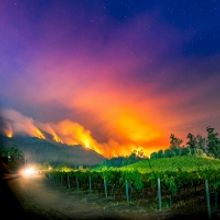 Napa Valley Museum Announces New Virtual Exhibit REAL/TIME: ART OF THE MOMENT – TES